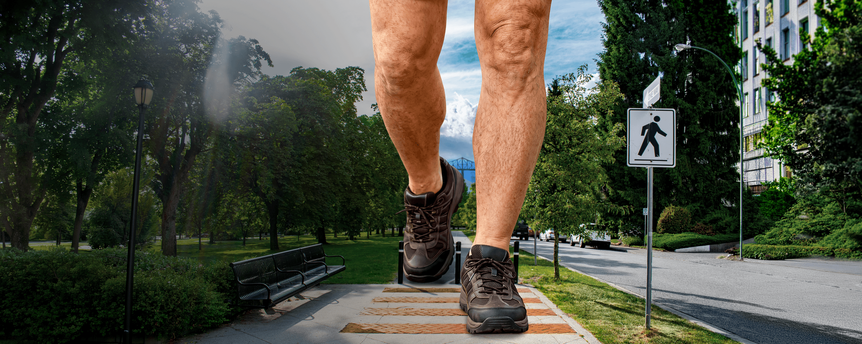 Les jambes démesurément grandes d’un homme, visibles de la mi-cuisse jusqu’aux pieds, marchant sur un trottoir.