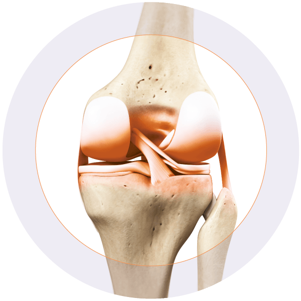 Plus icon with medical illustration of the knee joint, showing soft tissues, cartilage, and bones